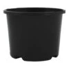 110mmØ Squat Pot -Outdoor Garden Shop 110mm Squat Pot Black 93818.1639695749