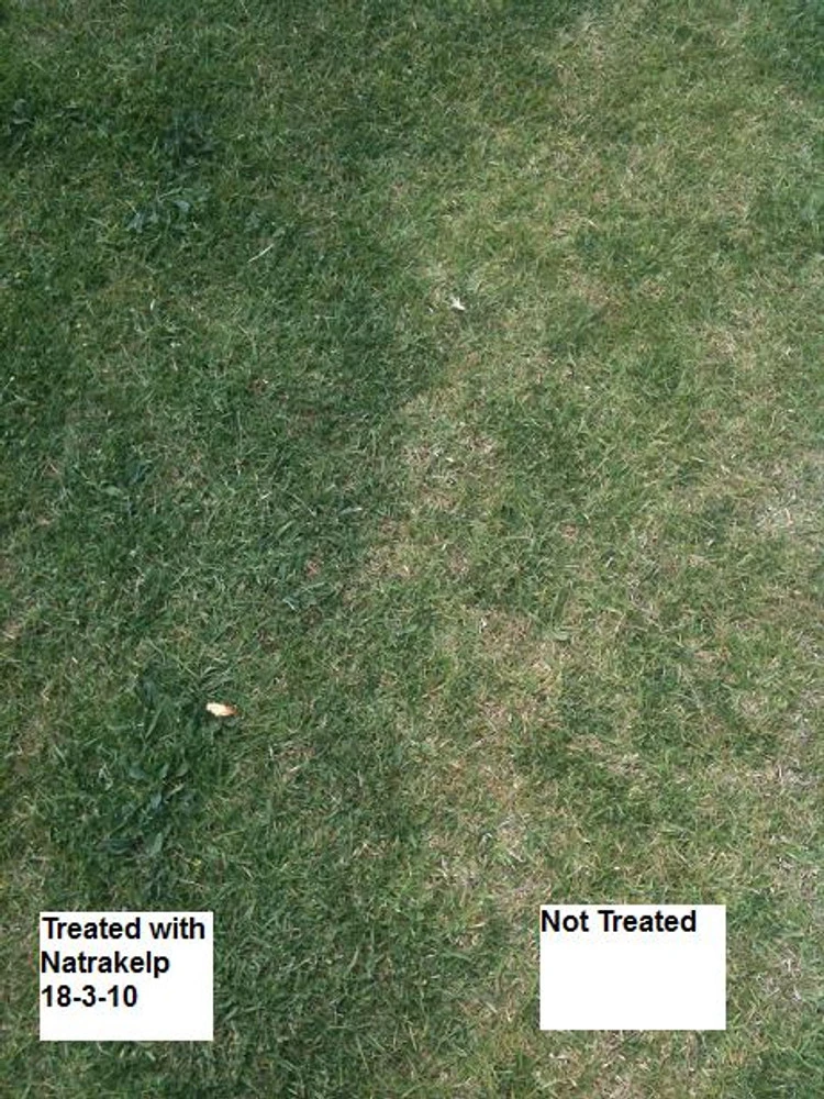 Natrakelp 18-3-10 4 Natrakelp 18-3-10 - Image 2