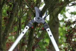 ARS LP40 Bypass Lopper -Outdoor Garden Shop ARSLP 40 g6 gallery large 76443.1707092320