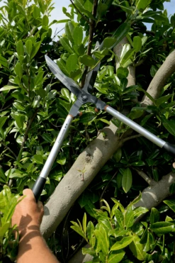 Bahco P51H-SL Extra Long Hedge Shears, Heavy Duty, Lightweight With Aluminium Handle -Outdoor Garden Shop Bahco P51H SL Extra Long Hedge Shears Heavy Duty Lightweight with Aluminium Handle 13 79582.1707204593