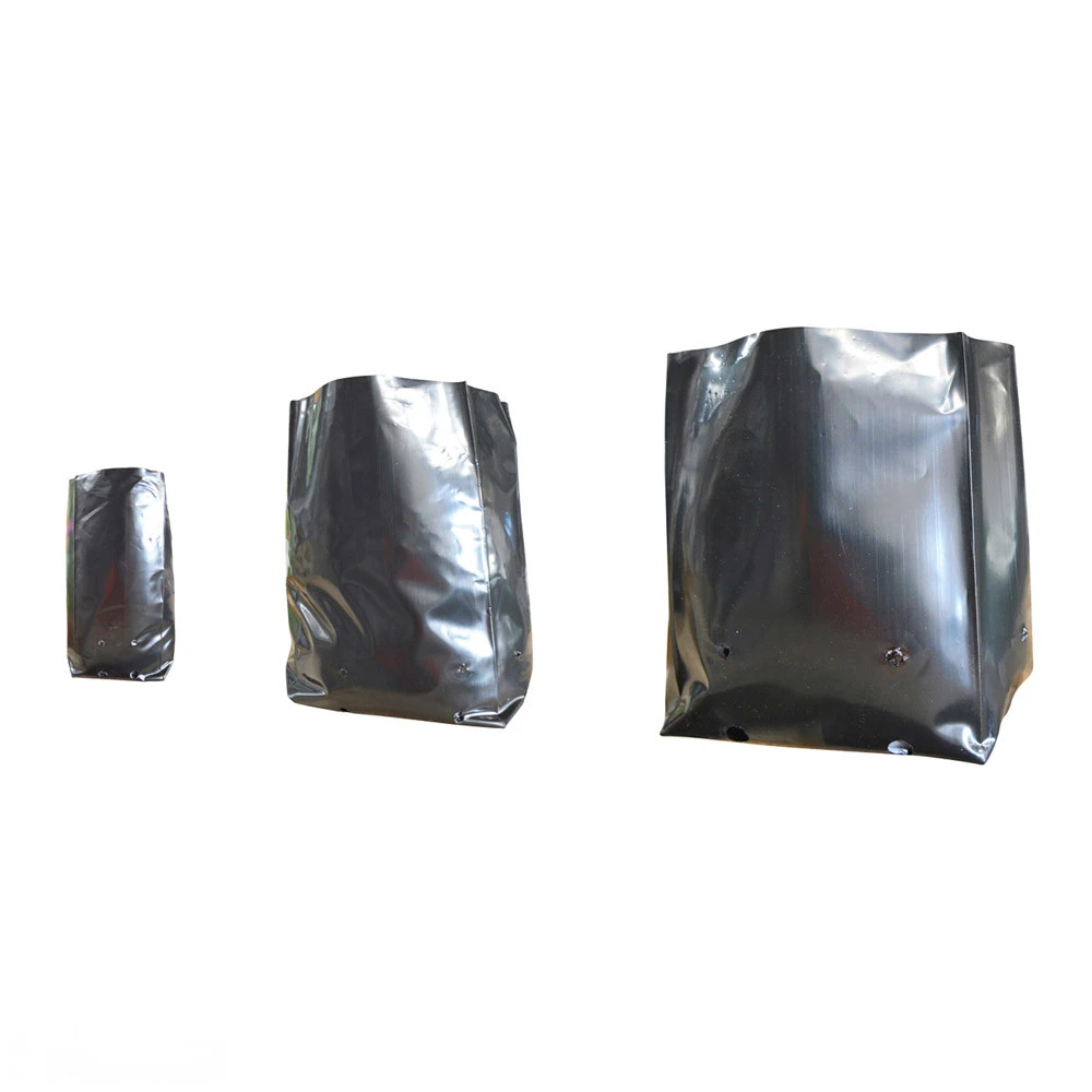 Polythene Plant Bag 250mmØ 3 Polythene Plant Bag 250mmØ