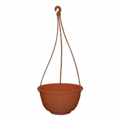 Grecian Hanging Basket Complete -Outdoor Garden Shop Grecian Hanging Basket Complete 250mm Rustic 11913.1649645107