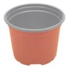 130mmØ Modiform Squat Pot -Outdoor Garden Shop Modiform Pot 13cm Squat 13cm x 9 6cm 885mL 46619.1639695890