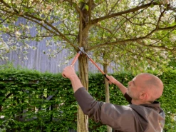 Bahco P16-60-F Professional 30mm Bypass Loppers With Steel Handle 15 Bahco P16-60-F Professional 30mm Bypass Loppers With Steel Handle -Outdoor Garden Shop P16 60 F Professional 30mm Bypass Loppers with Steel Handle 4 14666.1707205330