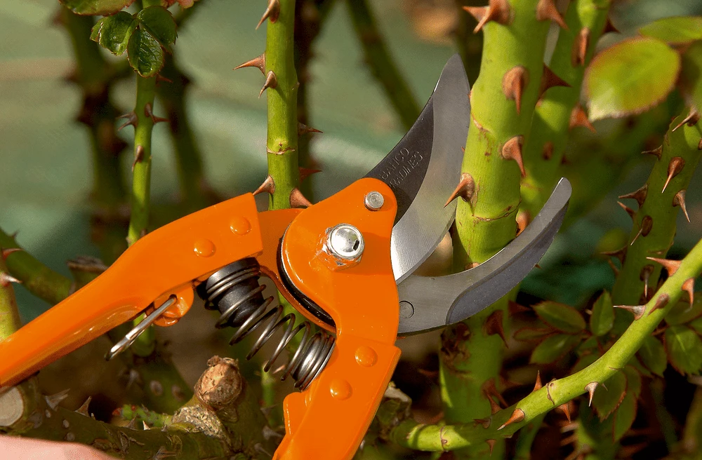Bahco P110-23F 25mm Bypass Secateurs With Stamped/Pressed Steel Handle - Image 2