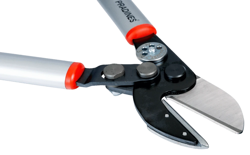 Bahco P173-SL-85 Professional 45mm Anvil Loppers With Lever Action And Aluminium Handle 4 Bahco P173-SL-85 Professional 45mm Anvil Loppers With Lever Action And Aluminium Handle - Image 2