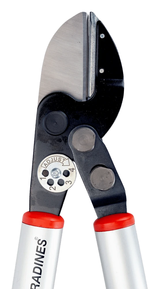 Bahco P173-SL-85 Professional 45mm Anvil Loppers With Lever Action And Aluminium Handle 7 Bahco P173-SL-85 Professional 45mm Anvil Loppers With Lever Action And Aluminium Handle - Image 5