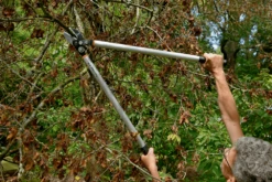 Bahco P173-SL-85 Professional 45mm Anvil Loppers With Lever Action And Aluminium Handle 29 Bahco P173-SL-85 Professional 45mm Anvil Loppers With Lever Action And Aluminium Handle -Outdoor Garden Shop bahco p173 sl loppers 4 81463.1707202738