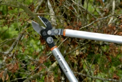 Bahco P173-SL-85 Professional 45mm Anvil Loppers With Lever Action And Aluminium Handle 24 Bahco P173-SL-85 Professional 45mm Anvil Loppers With Lever Action And Aluminium Handle -Outdoor Garden Shop bahco p173 sl loppers 5 15602.1707202738