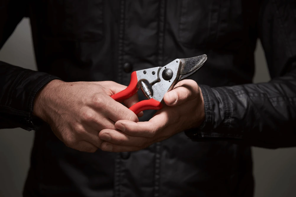 Felco 6 Secateurs 4 Felco 6 Secateurs - Image 2