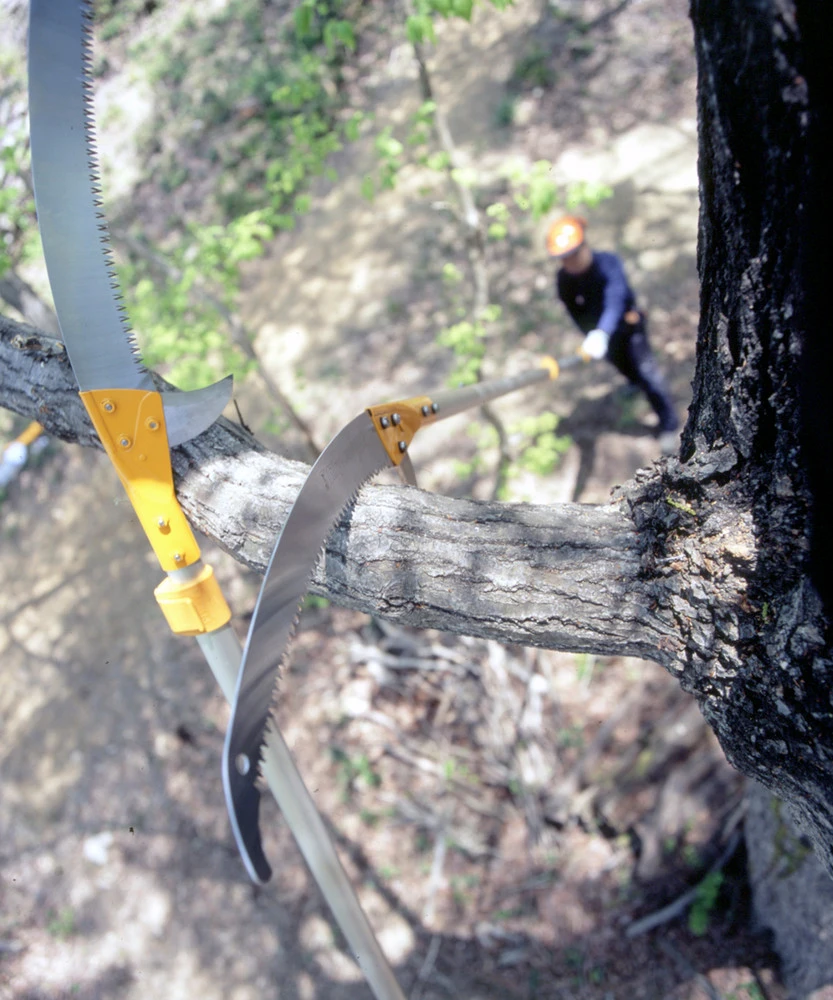 Silky Hayate Pole Saw Complete - Extendable 6 Silky Hayate Pole Saw Complete - Extendable - Image 4