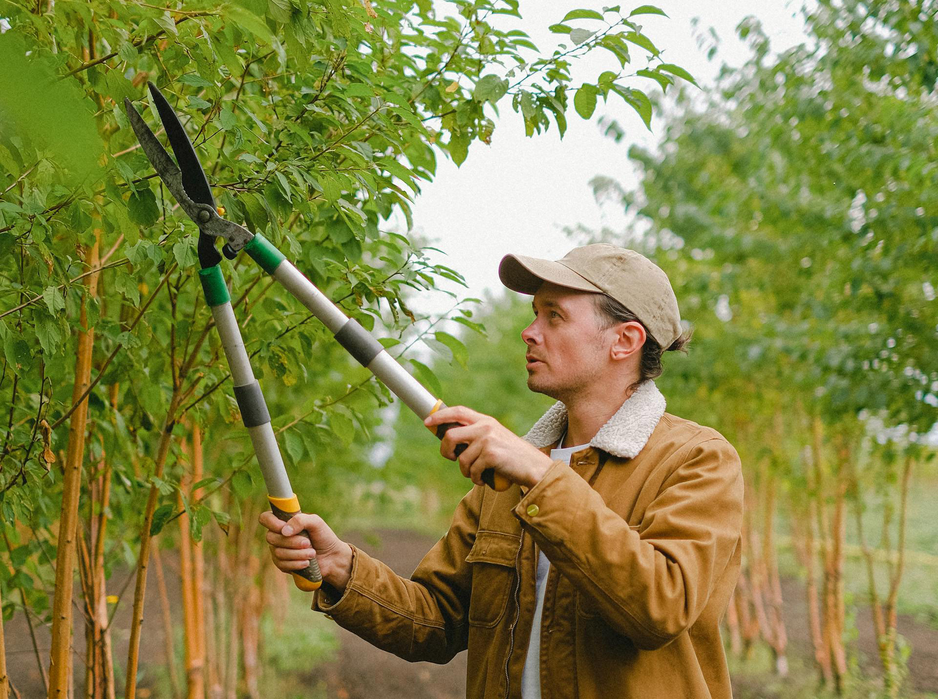 Outdoor Garden Shop 4 Outdoor Garden Shop -Outdoor Garden Shop pexels shvetsa 5231055